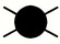 prdlo - itn